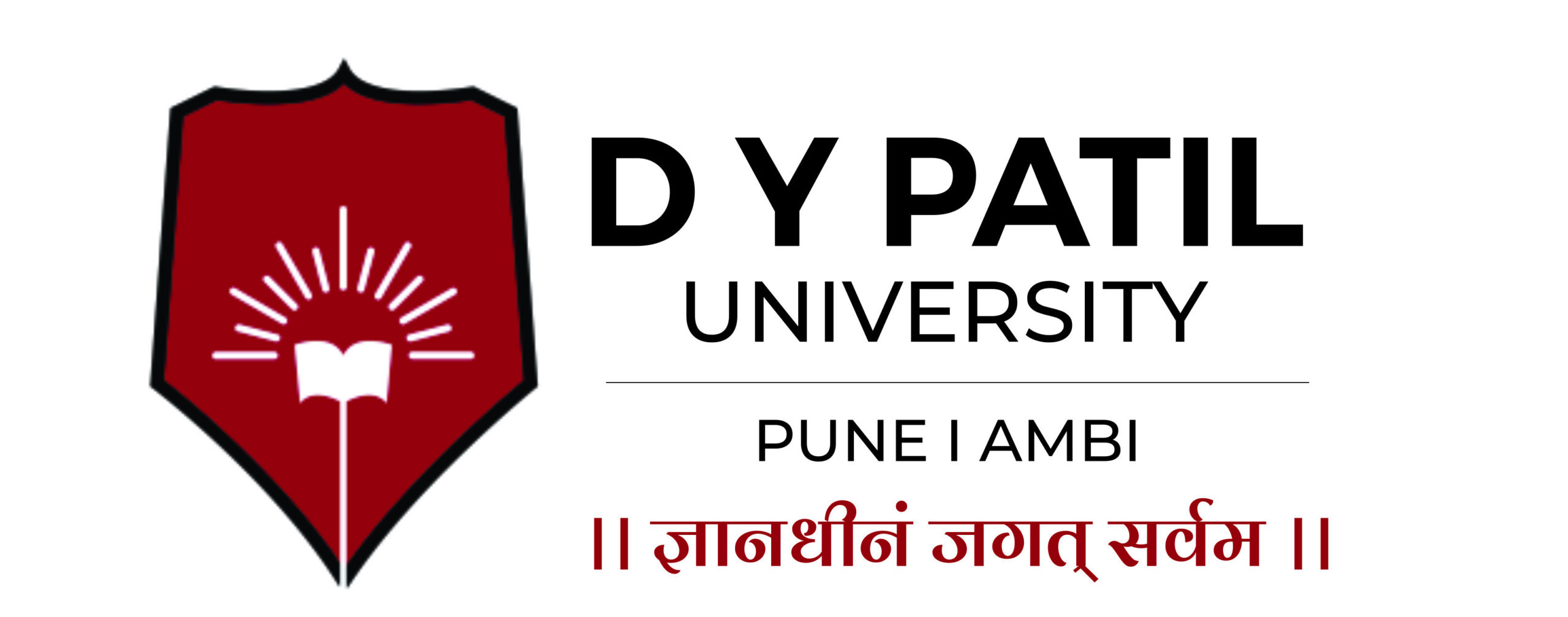 DY Patil Uni Pune Logo